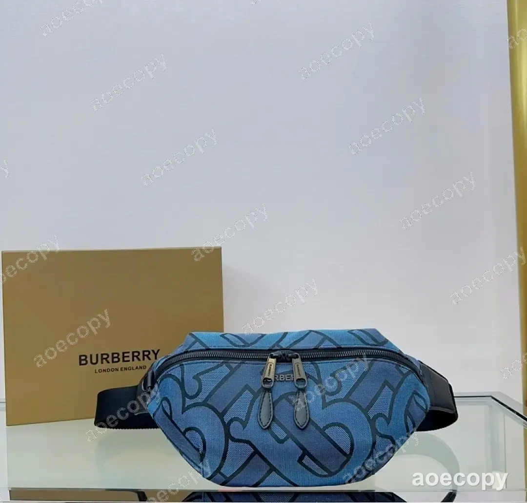 可愛い新作 バーバリー バッグ N級品 017370A6 No.0268