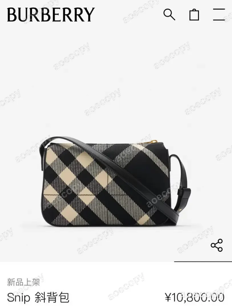 可愛い バーバリー バッグ N級品 0052607A No.0402