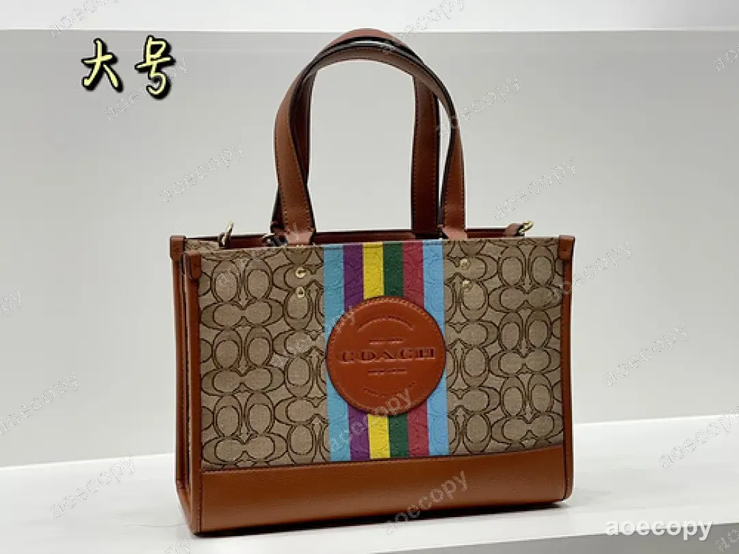 新作 コーチ バッグ N級品 DD2302250 No.0032